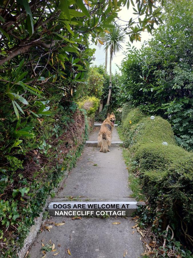 Dog Friendly Nancecliff Cottages Looe Exteriér fotografie