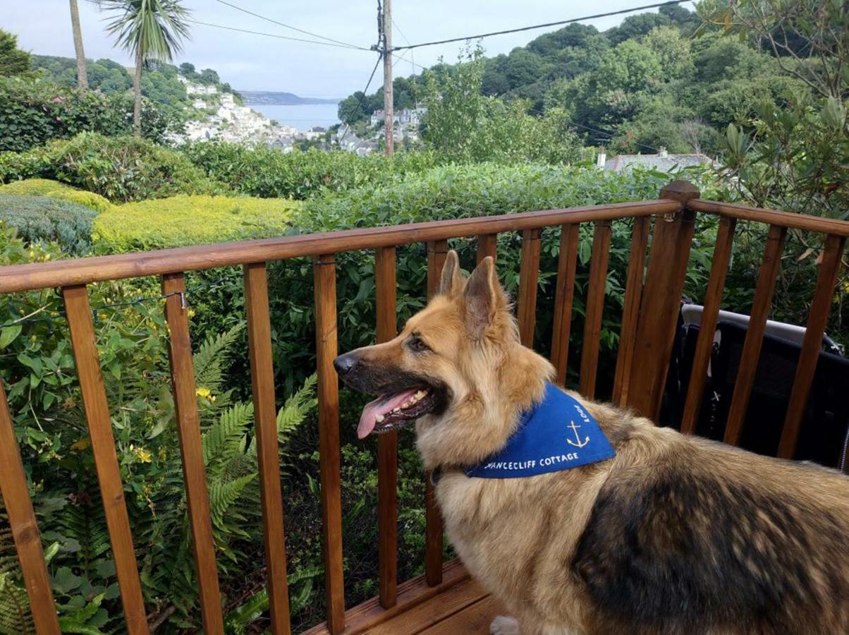 Dog Friendly Nancecliff Cottages Looe Exteriér fotografie