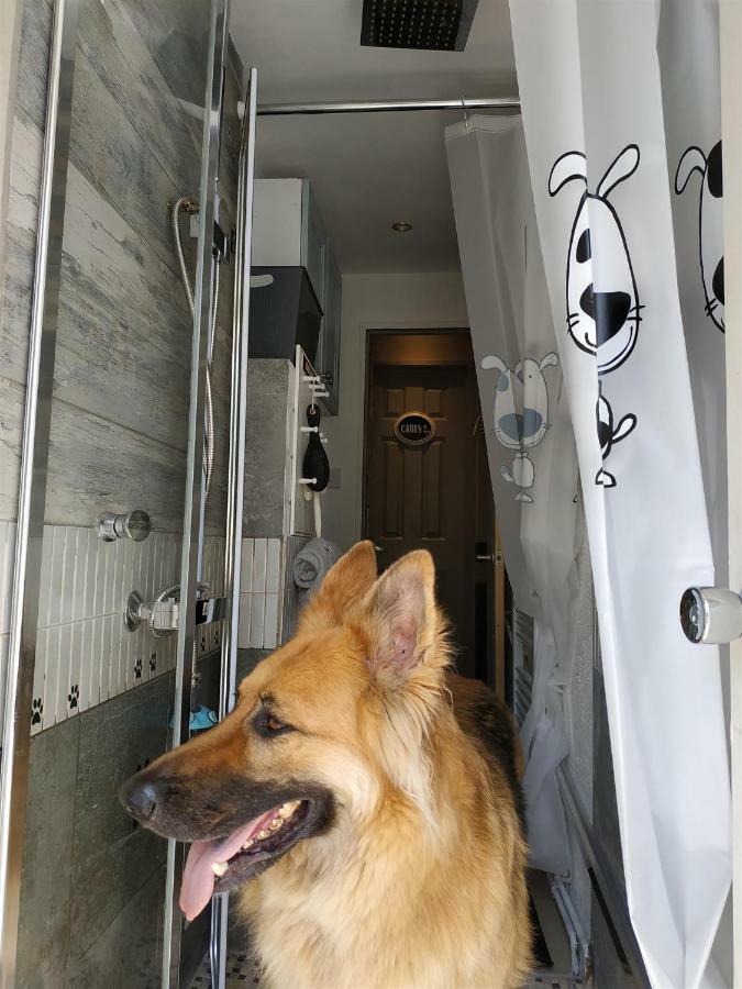 Dog Friendly Nancecliff Cottages Looe Exteriér fotografie