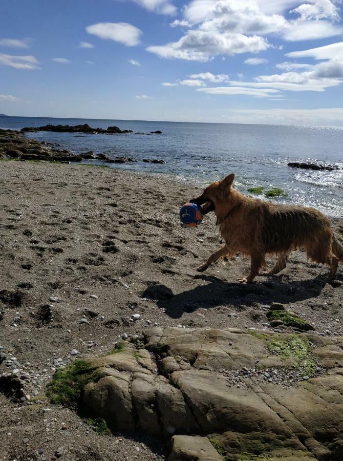 Dog Friendly Nancecliff Cottages Looe Exteriér fotografie